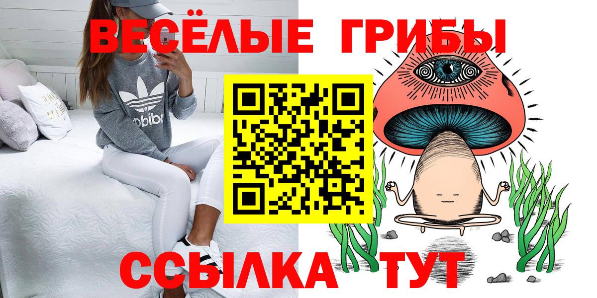 Галлюциногенные грибы Magic Shrooms  Псилоцибиновые грибы мухоморы  Кирово-Чепецк  Вход с VPN 