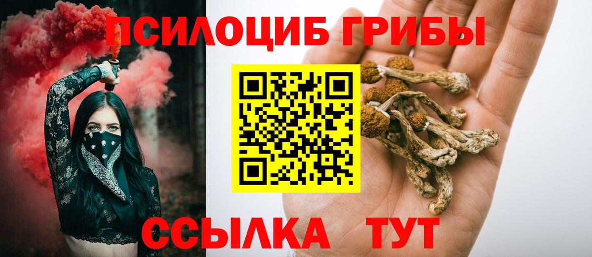 Псилоцибиновые грибы Psilocybine cubensis Кирово-Чепецк
